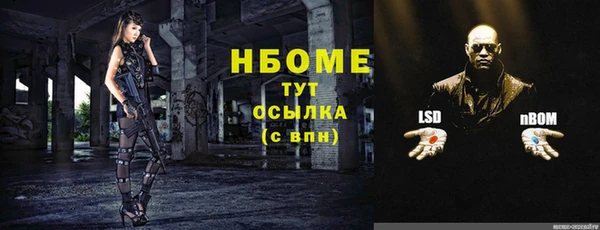 крисы Дмитриев