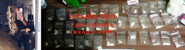 спиды Дмитров