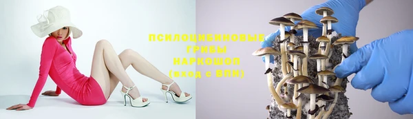 спиды Дмитров
