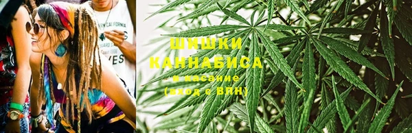 тгк Дмитровск