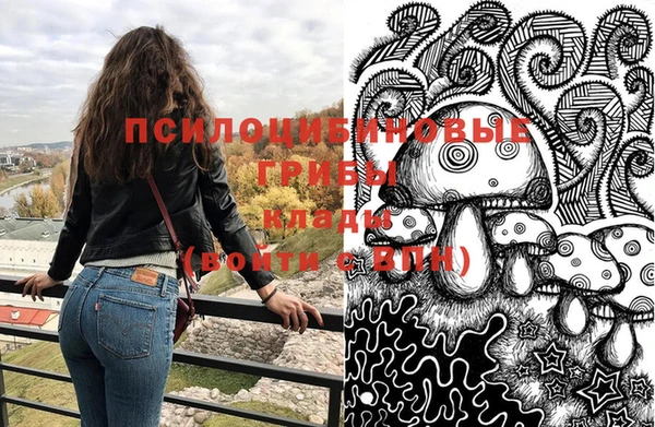 крисы Дмитриев