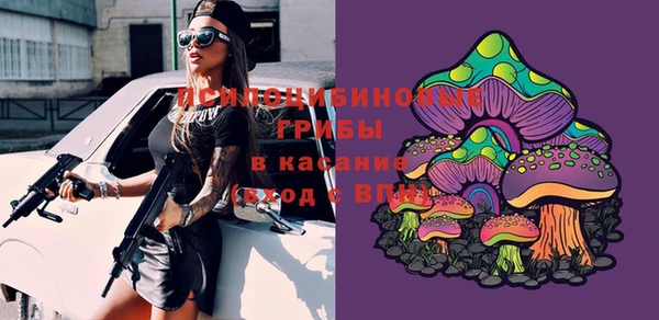 тгк Дмитровск