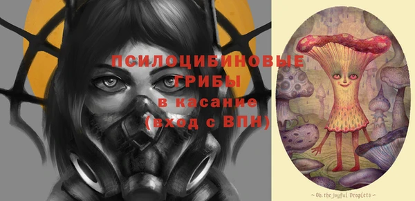 спиды Дмитров