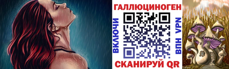Галлюциногенные грибы Cubensis  Купить закладки  Нестеровская 
